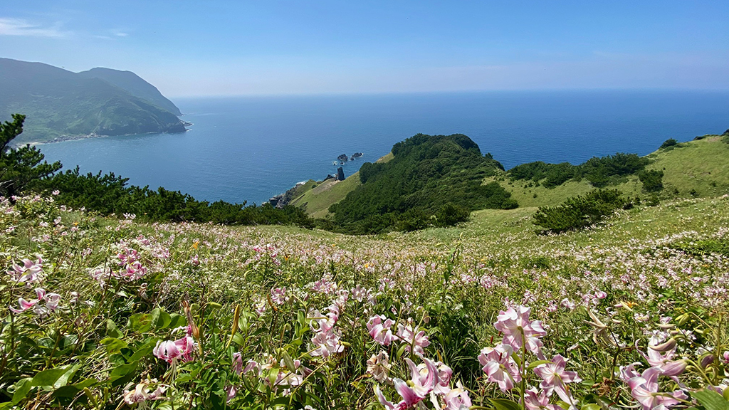 甑島商船株式会社